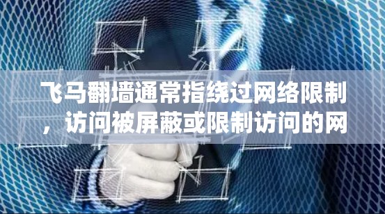 飞马翻墙通常指绕过网络限制，访问被屏蔽或限制访问的网站。虽然这类工具可以帮助你访问某些受限制的内容，但请注意遵守相关法律法规，避免使用这些工具进行非法活动
