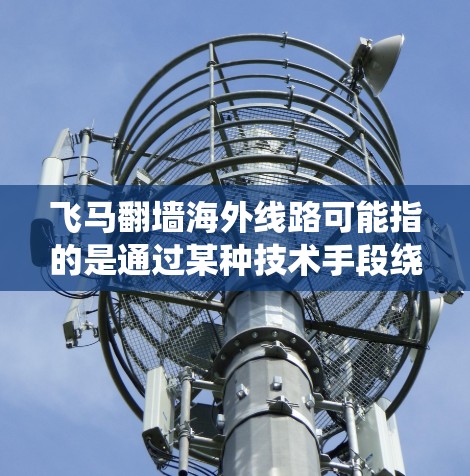 飞马翻墙海外线路可能指的是通过某种技术手段绕过网络限制，访问国外的网站或服务。这种方法通常用于在某些国家的网络环境下，能够访问被本地监控或限制的国际资源