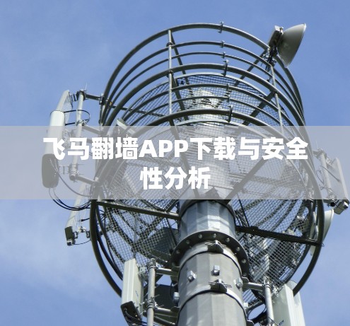 飞马翻墙APP下载与安全性分析