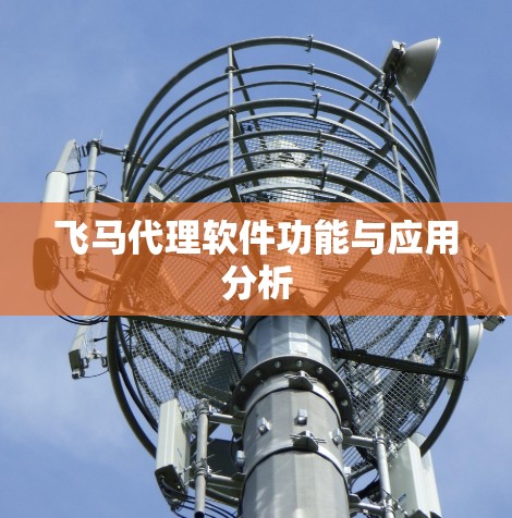 飞马代理软件功能与应用分析