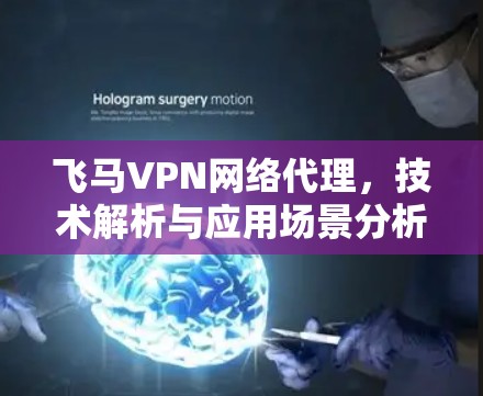 飞马VPN网络代理，技术解析与应用场景分析