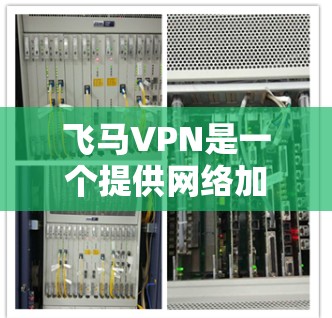 飞马VPN是一个提供网络加密和匿名访问服务的公司，旨在帮助用户保护隐私、防止网络监控和访问受限的内容。以下是一些关于飞马VPN的详细信息和可能的选择