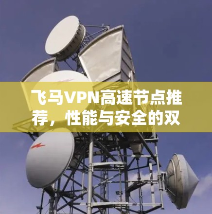 飞马VPN高速节点推荐，性能与安全的双重保障