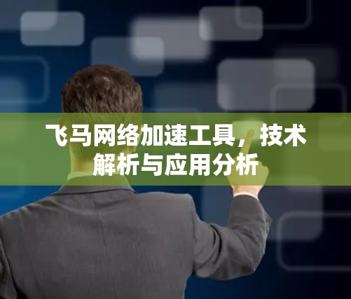飞马网络加速工具，技术解析与应用分析