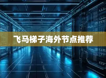 飞马梯子海外节点推荐