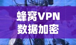蜂窝VPN数据加密，保护数据隐私的关键技术