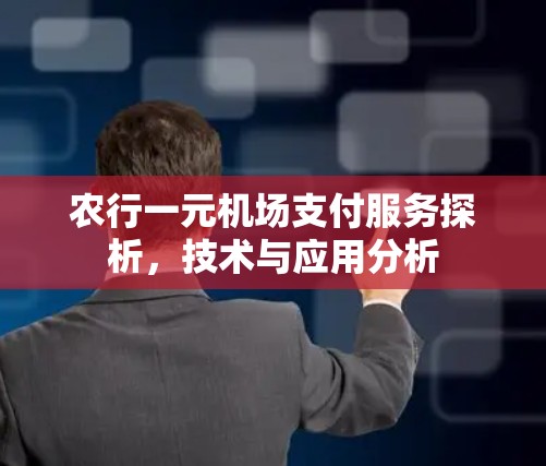 农行一元机场支付服务探析，技术与应用分析