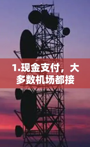 1.现金支付，大多数机场都接受人民币和外币的现金支付。你可以在到达机场后，前往餐饮区、零售店或自动柜员机进行现金兑换或支付