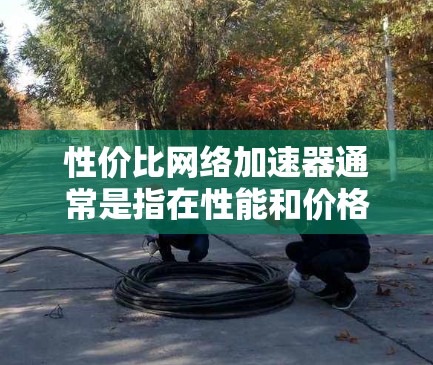 性价比网络加速器通常是指在性能和价格之间具有较好平衡的网络优化工具或设备。这些工具可以帮助用户加速网络速度，提高数据传输效率，同时不会显著增加成本。以下是一些常见的性价比网络加速器类型和推荐