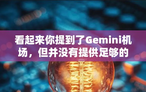 看起来你提到了Gemini机场，但并没有提供足够的上下文信息。以下是一些可能的解释