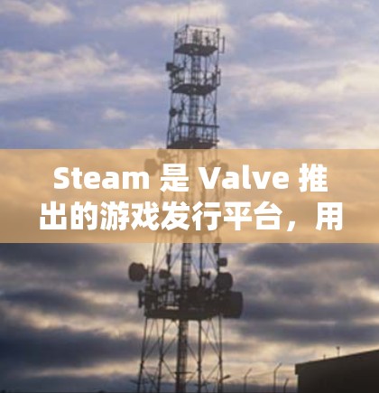 Steam 是 Valve 推出的游戏发行平台，用户可以通过该平台购买和下载游戏、交友、分享内容等。虽然 Steam 本身不需要 VPN，但是有些用户可能会选择使用 VPN 有以下几个原因