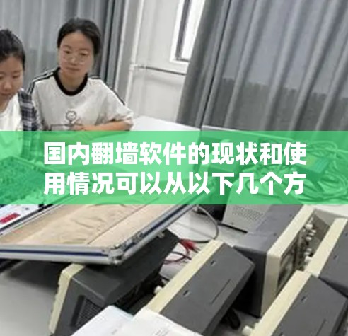 国内翻墙软件的现状和使用情况可以从以下几个方面进行分析