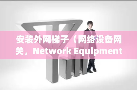 安装外网梯子（网络设备网关，Network Equipment Device Access，NEDA）是一个系统化的过程，适用于管理和自动化网络设备的配置和连接。以下是详细的步骤指南